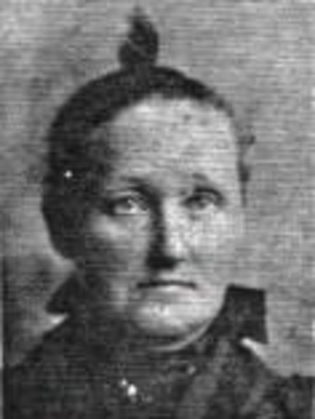 Marie Lauritzen (1847 - 1924) Profile
